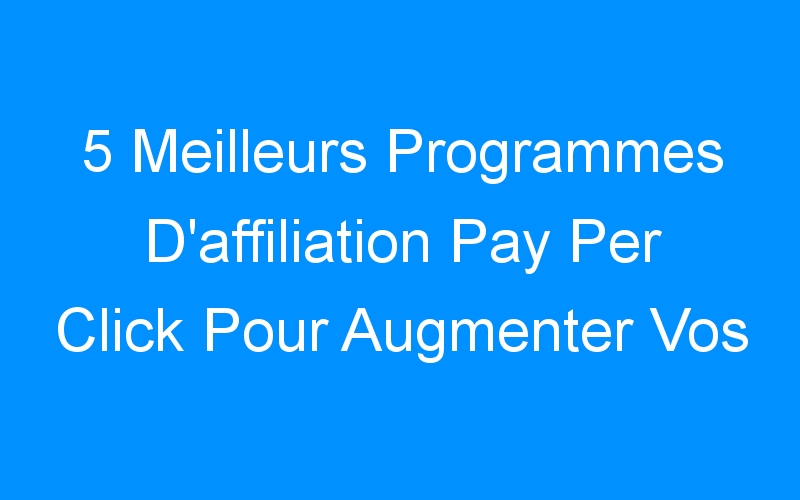 Lire la suite à propos de l’article 5 Meilleurs Programmes D’affiliation Pay Per Click Pour Augmenter Vos Revenus!