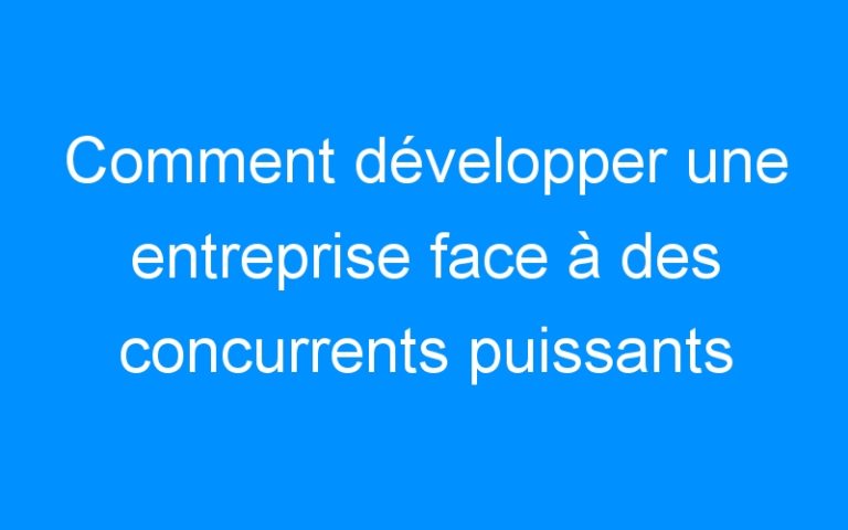 Lire la suite à propos de l’article Comment développer une entreprise face à des concurrents puissants par Sébastien de Chezelles