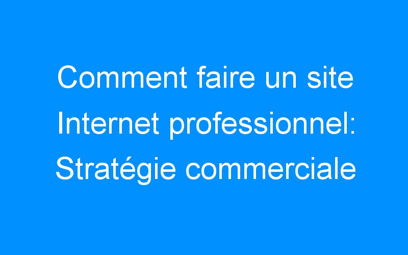 You are currently viewing Comment faire un site Internet professionnel: Stratégie commerciale