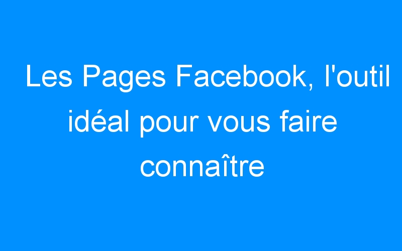 You are currently viewing Les Pages Facebook, l’outil idéal pour vous faire connaître
