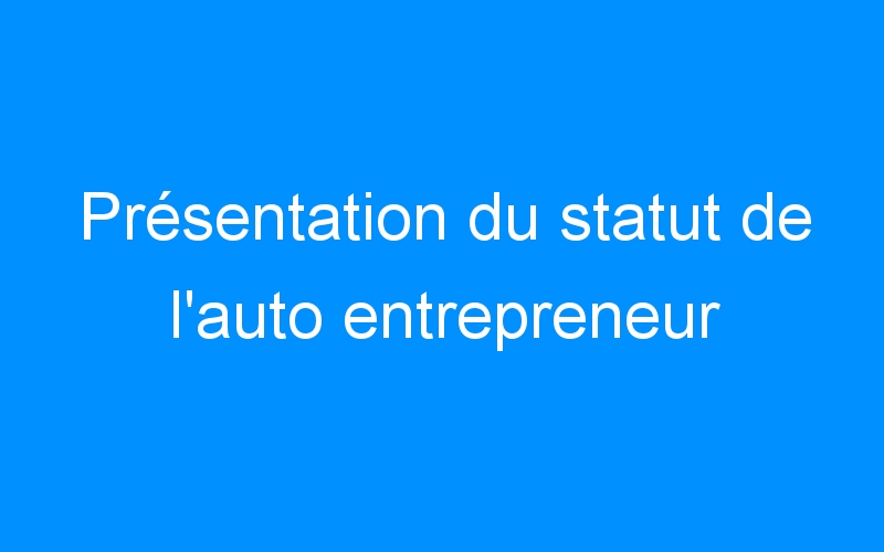 Lire la suite à propos de l’article Présentation du statut de l'auto entrepreneur