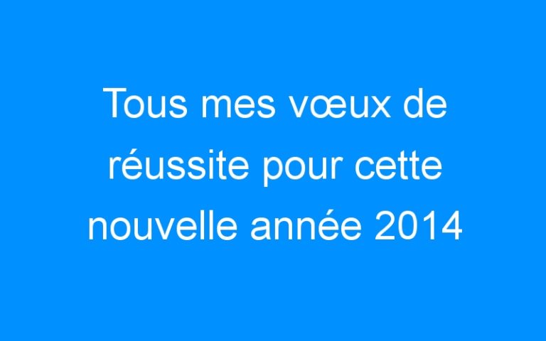 Lire la suite à propos de l’article Tous mes vœux de réussite pour cette nouvelle année 2014